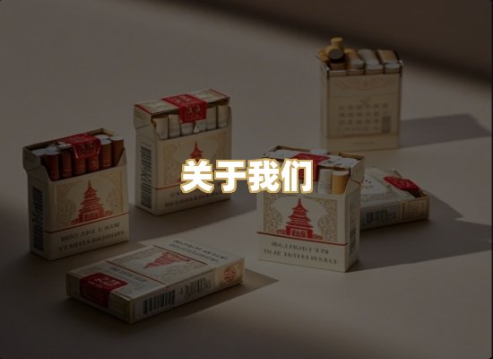 关于我们